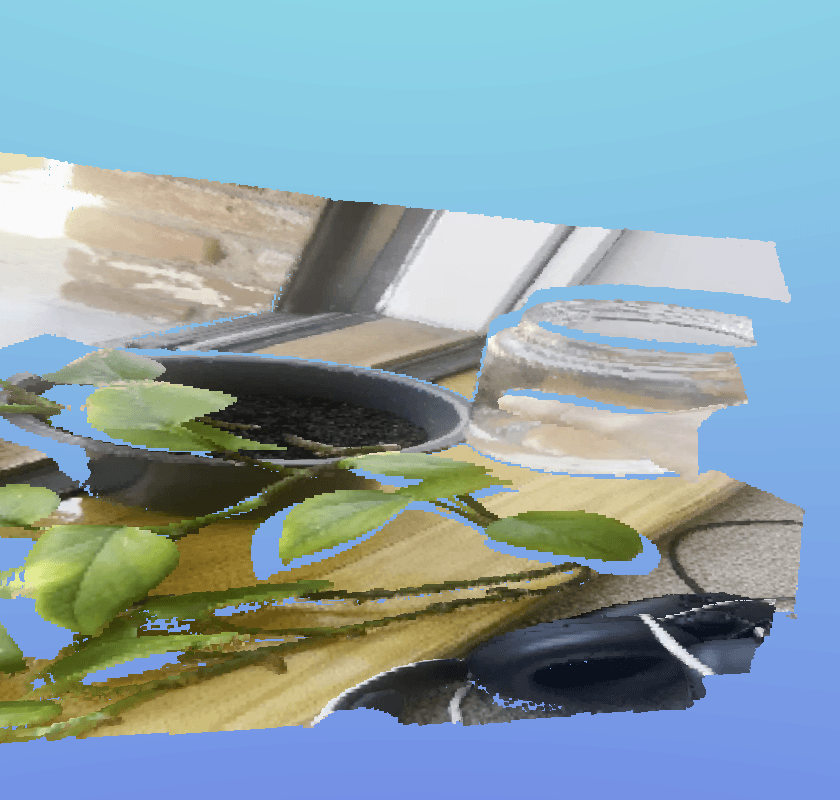 thumbnail for watering the plants 