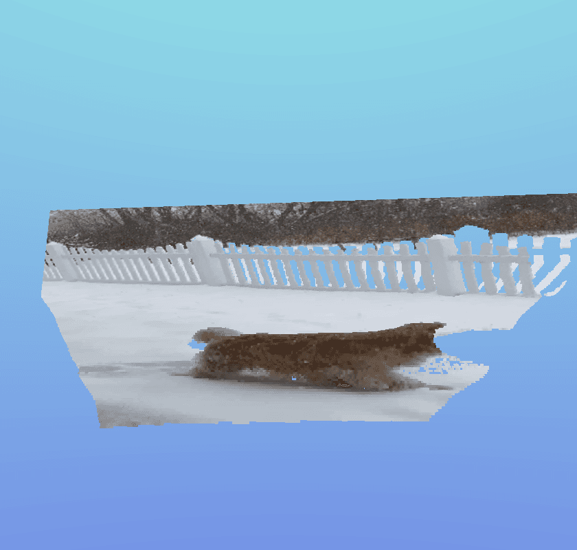 thumbnail for dog in snow 